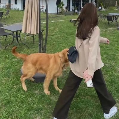 女演员